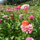 상록노인복지회관 이미지