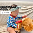 바디룩 | 아기옷:: 신생아바디슈트 출산선물 추천 문센룩 알파베베 바디슈트 사이즈 솔직후기