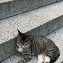 설죽로R 이미지