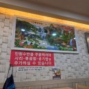 포쉬펫 | 다시 행복을 찾아. 2월-1