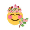 종례 Daum카페
