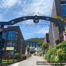 핑스애견펜션 이미지