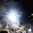 도원중학교 이미지