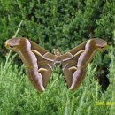 금오산약수터 이미지