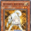 로드헌터