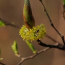 이례자원 이미지