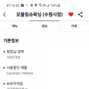 모블링슈왁싱