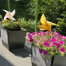 학마을작은도서관 이미지