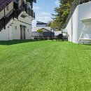 도그플레이스 이미지