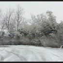 진생농장 이미지