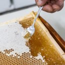 낙화담캠핑장 이미지