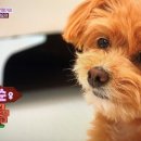 재순농장 네이버블로그