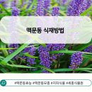 세종식물원 이미지