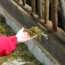 장터목장 이미지