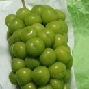 경산농장 이미지