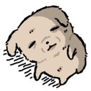 국가대표 신-코리아 태권도장 | 251007 코리아 스포트라이트 쇼케이스 재팬 도쿄 - 밴드 카디(KARDI) 후기