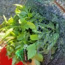 홍민농장 이미지