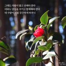 루틴데이