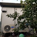 보금농장 이미지