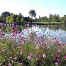 타쉬켄트(Tashkent) 이미지