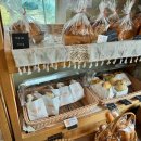 더나음컴퍼니 이미지