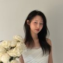 팔렛필즈
