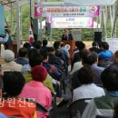 노곡 태양광발전소 강원신문