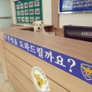 한중운전