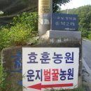 송북1리(송문)경로당 | 백운산(2) 618m(김천시100대명산)