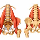 몸새김 웨이트&필라테스 이미지