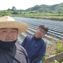 서대리농장 네이버블로그