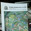태암초등 | 태암 팜카밀레 핑크뮬리가 예쁜 아기랑 가볼만한곳 솔직후기