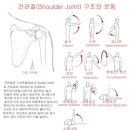 100휘트니스 이미지