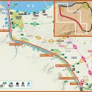 종합운동장 메타세콰이어길 이미지