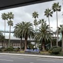 동광로1길 8 | [여행_제주도] 한라산 등산 여행