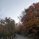 소하근린공원 이미지