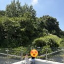천수로 | [진주카페] 주약동 엘더프랑 신상 오픈! 시그니처 라떼와 역대급 디저트 빵 순례 후기