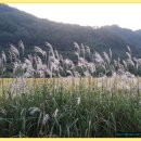 남성현초등학교 이미지