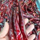 재민농장 이미지