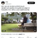 엊그제 그알 힐링 장면 이미지