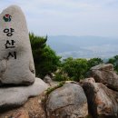 용고개농장 티스토리