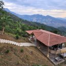 은인농장 이미지