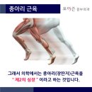 초기하지정맥에 공기압 다리 마사지기가 도움이 될까요? 이미지