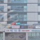 해마루 | (의왕) 의왕 맛집 해마루에서 활어회정식 먹은 후기