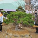 삼도초등학교 이미지