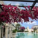 [언제든학교]조향사와 함께하는 향수이야기 시즌3 | 힘든건 빼고 좋은 기억들만 모으고 모아서