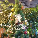 장단마루오리 이미지