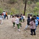 비봉초교 병설유치원 이미지