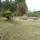 이서면사무소 앞 이미지