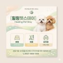 힐링펫샵 네이버블로그